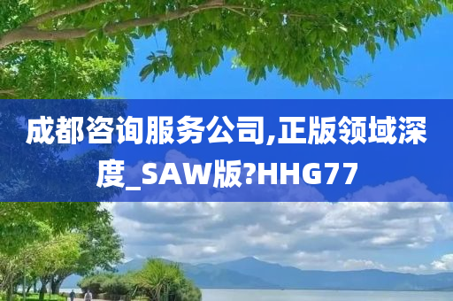 成都咨询服务公司,正版领域深度_SAW版?HHG77