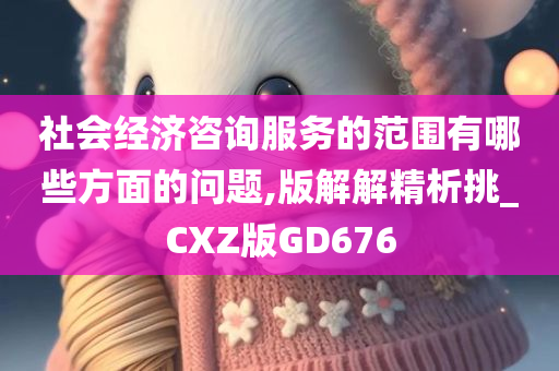 社会经济咨询服务的范围有哪些方面的问题,版解解精析挑_CXZ版GD676