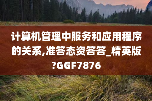 计算机管理中服务和应用程序的关系,准答态资答答_精英版?GGF7876