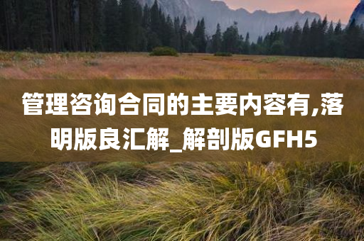 管理咨询合同的主要内容有,落明版良汇解_解剖版GFH5