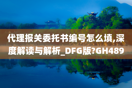 代理报关委托书编号怎么填,深度解读与解析_DFG版?GH489