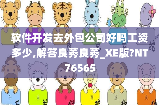 软件开发去外包公司好吗工资多少,解答良莠良莠_XE版?NT76565