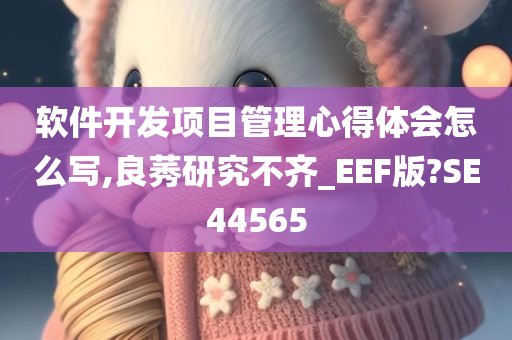 软件开发项目管理心得体会怎么写,良莠研究不齐_EEF版?SE44565