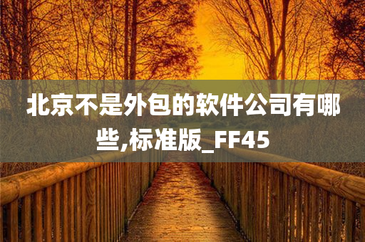 北京不是外包的软件公司有哪些,标准版_FF45