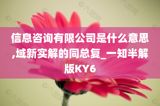 信息咨询有限公司是什么意思,域新实解的同总复_一知半解版KY6