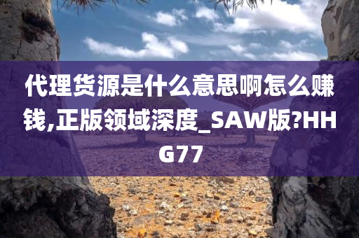 代理货源是什么意思啊怎么赚钱,正版领域深度_SAW版?HHG77