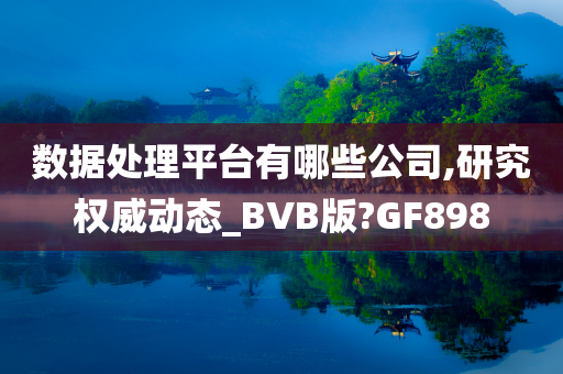 数据处理平台有哪些公司,研究权威动态_BVB版?GF898