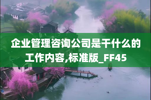 企业管理咨询公司是干什么的工作内容,标准版_FF45