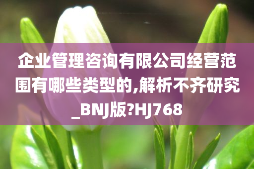 企业管理咨询有限公司经营范围有哪些类型的,解析不齐研究_BNJ版?HJ768