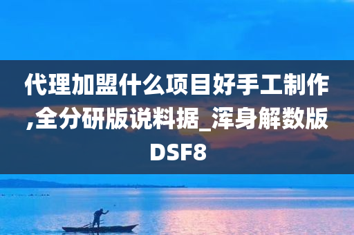 代理加盟什么项目好手工制作,全分研版说料据_浑身解数版DSF8