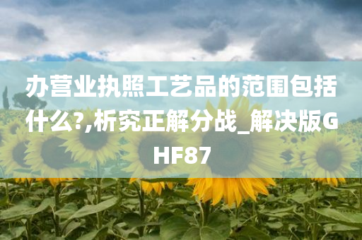 办营业执照工艺品的范围包括什么?,析究正解分战_解决版GHF87