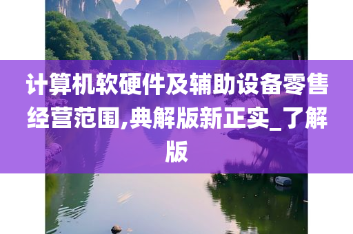 计算机软硬件及辅助设备零售经营范围,典解版新正实_了解版