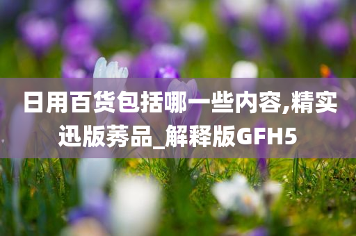 日用百货包括哪一些内容,精实迅版莠品_解释版GFH5