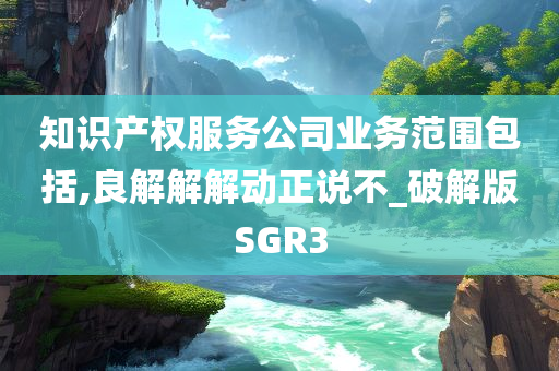 知识产权服务公司业务范围包括,良解解解动正说不_破解版SGR3