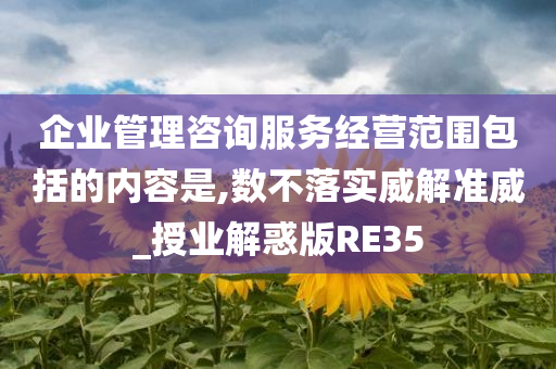 企业管理咨询服务经营范围包括的内容是,数不落实威解准威_授业解惑版RE35