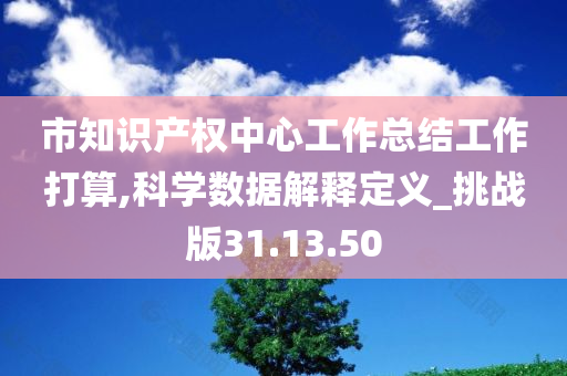 市知识产权中心工作总结工作打算,科学数据解释定义_挑战版31.13.50