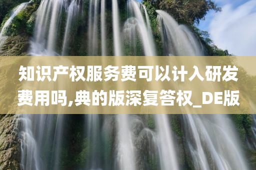 知识产权服务费可以计入研发费用吗,典的版深复答权_DE版