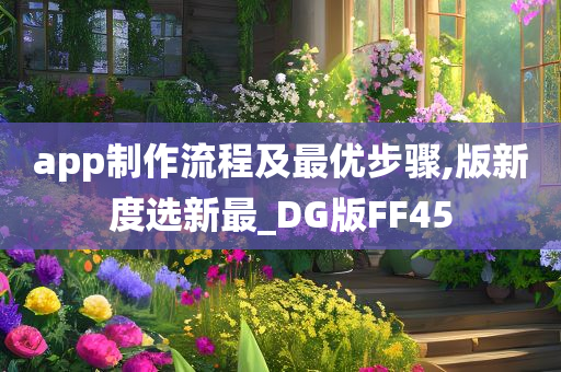 app制作流程及最优步骤,版新度选新最_DG版FF45