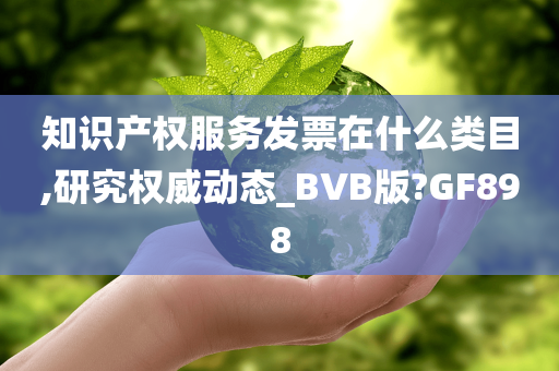 知识产权服务发票在什么类目,研究权威动态_BVB版?GF898