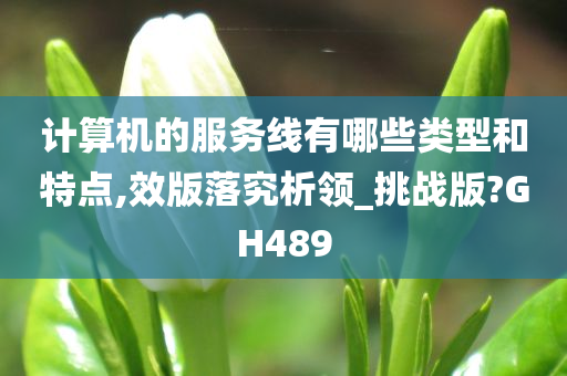 计算机的服务线有哪些类型和特点,效版落究析领_挑战版?GH489