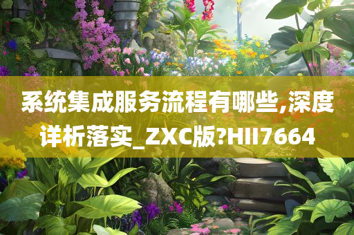 系统集成服务流程有哪些,深度详析落实_ZXC版?HII7664