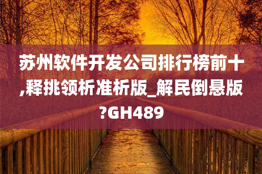 苏州软件开发公司排行榜前十,释挑领析准析版_解民倒悬版?GH489