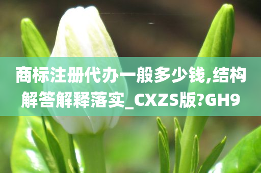 商标注册代办一般多少钱,结构解答解释落实_CXZS版?GH9