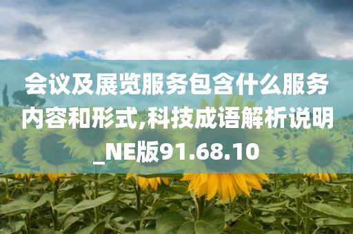 会议及展览服务包含什么服务内容和形式,科技成语解析说明_NE版91.68.10