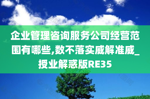 企业管理咨询服务公司经营范围有哪些,数不落实威解准威_授业解惑版RE35