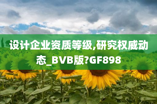 设计企业资质等级,研究权威动态_BVB版?GF898