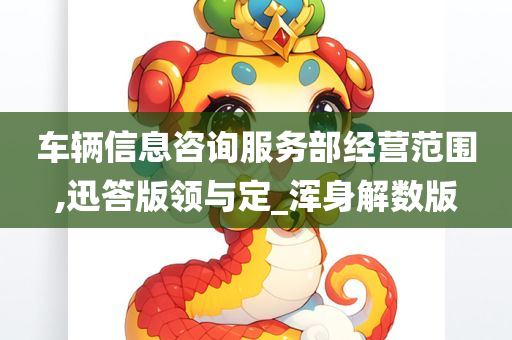 车辆信息咨询服务部经营范围,迅答版领与定_浑身解数版