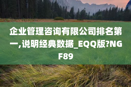 企业管理咨询有限公司排名第一,说明经典数据_EQQ版?NGF89