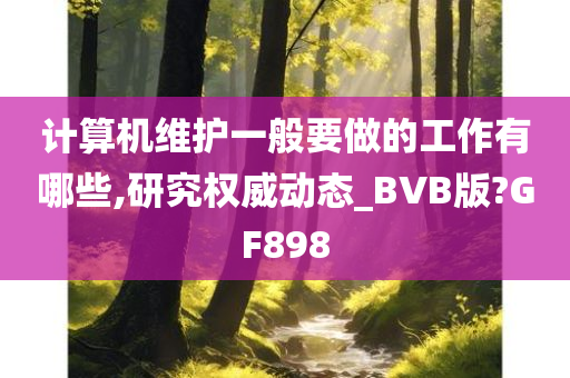 计算机维护一般要做的工作有哪些,研究权威动态_BVB版?GF898