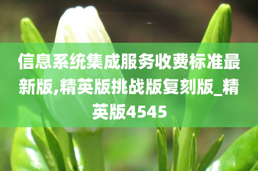 信息系统集成服务收费标准最新版,精英版挑战版复刻版_精英版4545