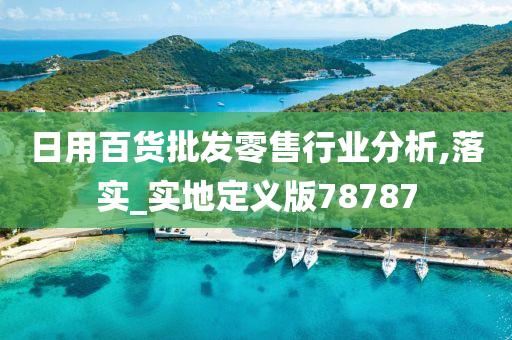 日用百货批发零售行业分析,落实_实地定义版78787