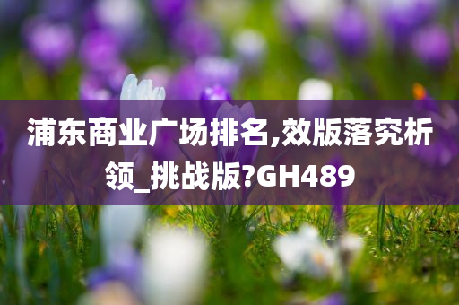 浦东商业广场排名,效版落究析领_挑战版?GH489