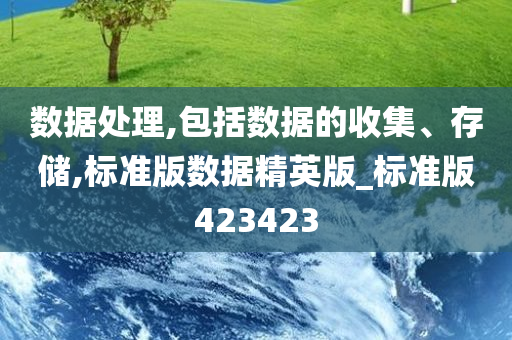 数据处理,包括数据的收集、存储,标准版数据精英版_标准版423423