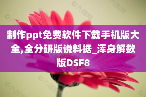 制作ppt免费软件下载手机版大全,全分研版说料据_浑身解数版DSF8